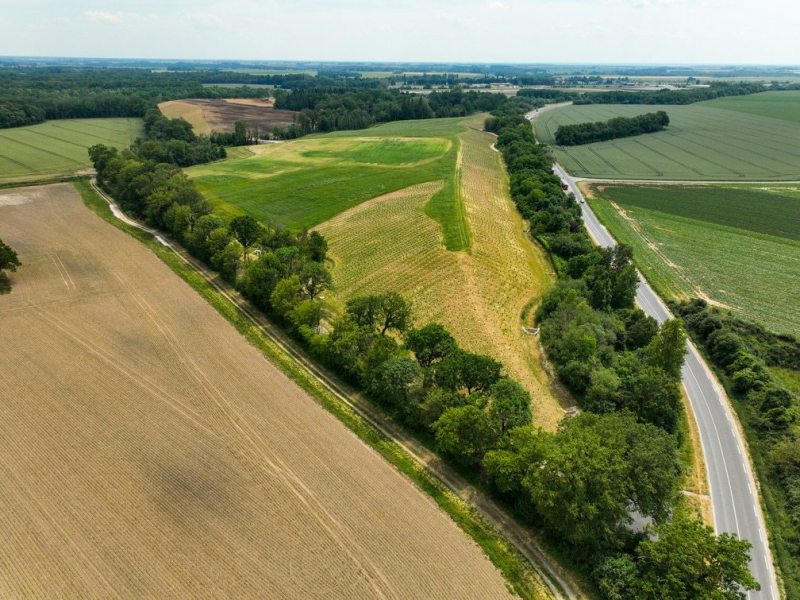 An agricultural and ecological renaissance