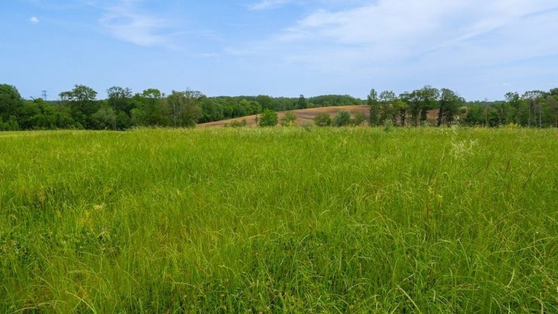 Reconstitution of soil for extensive grazing