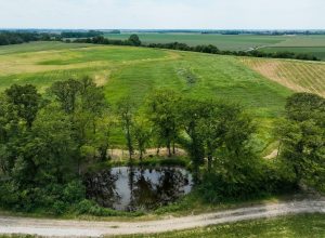 Preservation of 10 hectares of natural environments and creation of wetlands