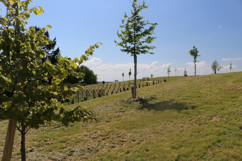 Parc de la Plaine, a municipal park for strolling