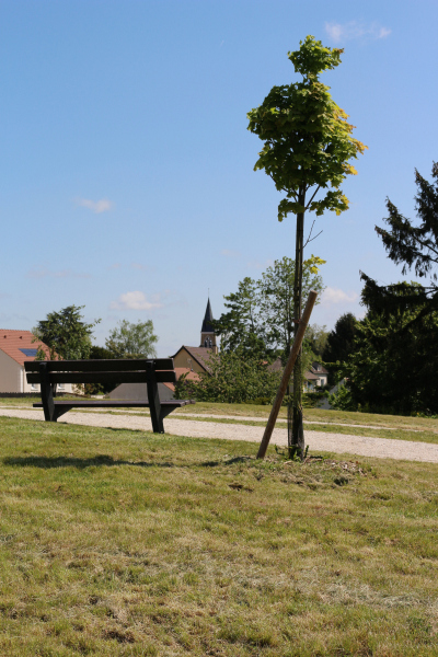 Parc de la Plaine, a municipal park for strolling