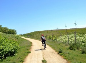 A la rencontre des cyclistes sur le parc de l'Arboretum