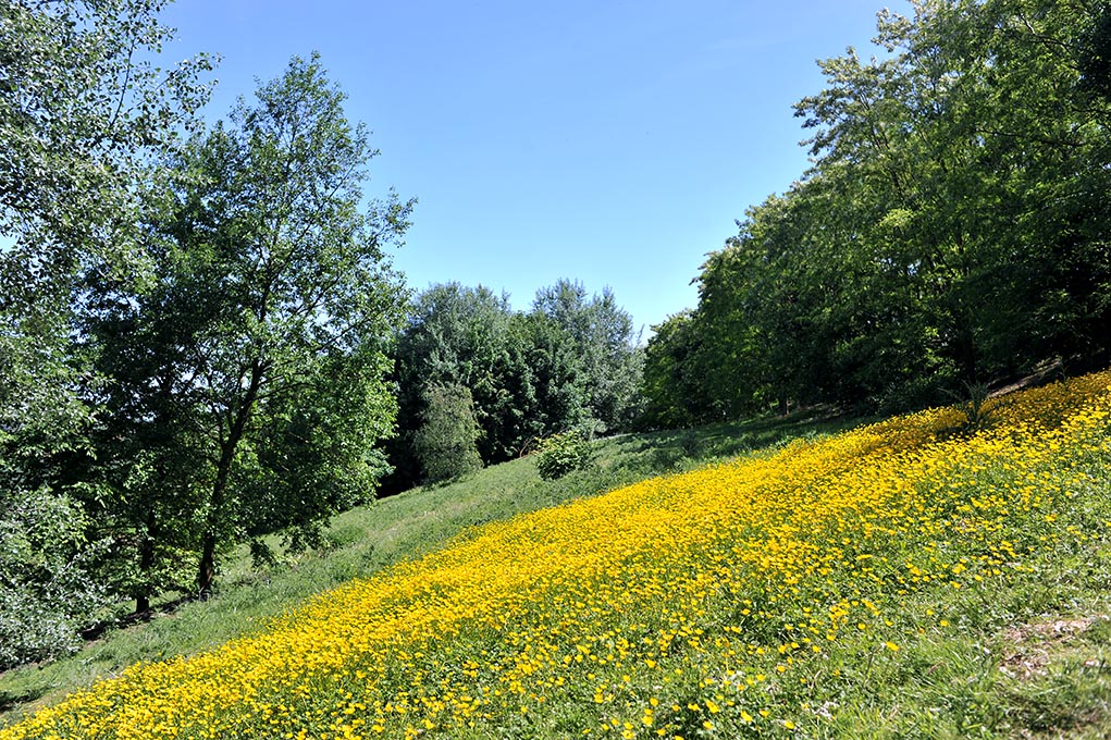 Landscaped embankment for acoustic and visual protection created by ECT along the 'Francilienne' outer Paris ring road at Combs-la-Ville (77)