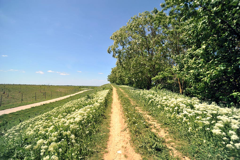 ECT site Moissy-Cramayel - parc © Gil Fornet