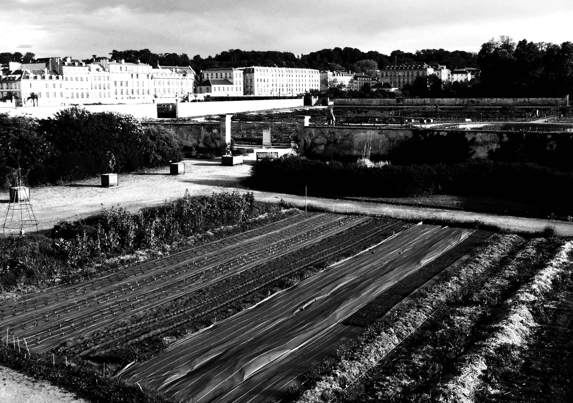 Le Potager du roi