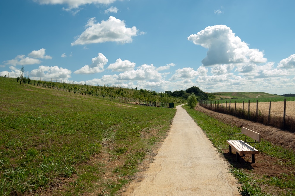 Landscaped walk at Moissy-Cramayel