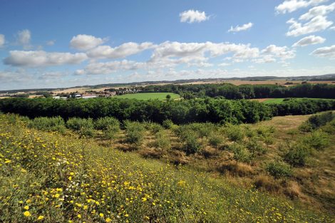 ECT joins the "Oasis Nature” network supported by Humanité et Biodiversité (Humanity and Biodiversity)