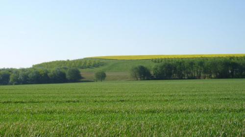 20100520 -Villeneuve-sous-Dammartin - Exhaussement agricole - © ECT