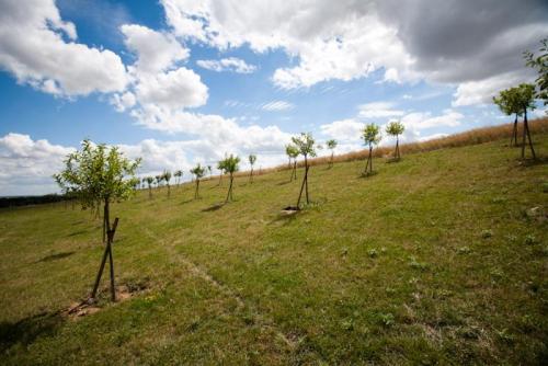 20100713 - Villeneuve-sous-Dammartin - Exploitation-Aménagement (2)