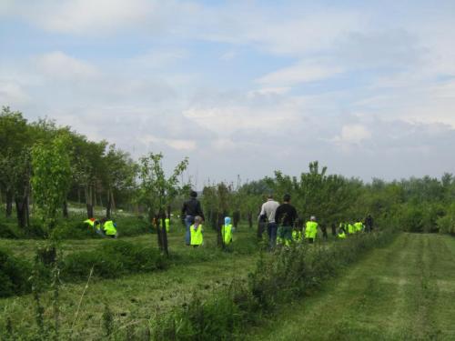 20140429 - Villeneuve-sous-Dammartin - Chasse aux oeufs - © ECT (2)