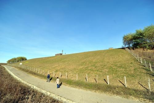 Claye-Souilly - Parc urbain - Papillon de la Prée