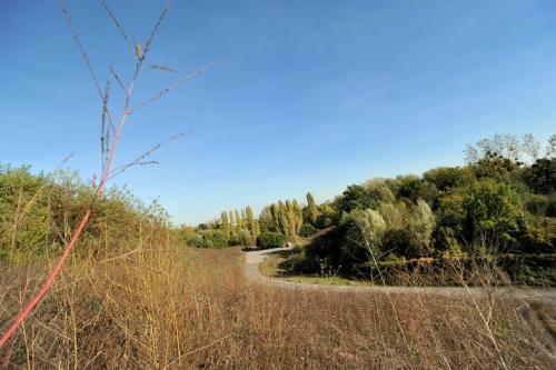 Claye-Souilly - Parc urbain - Papillon de la Prée