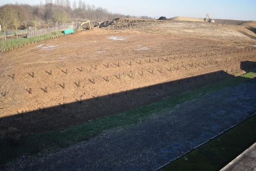 2019_12_30_Finalisation du plateau tir à l'arc et plantations talus potager