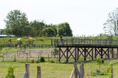 20220521 - Clichy-sous-Bois - Fausse Maussoin ©Pierre Charlier (105)