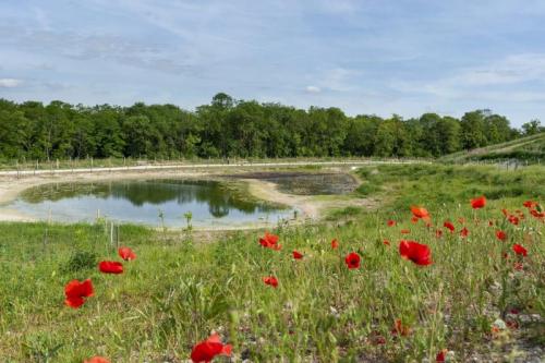 20220521 - Clichy-sous-Bois - Fausse Maussoin ©Pierre Charlier (26)