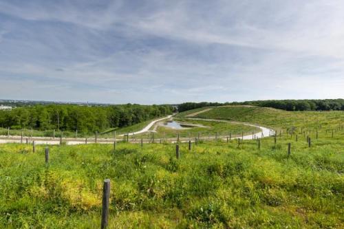 20220521 - Clichy-sous-Bois - Fausse Maussoin ©Pierre Charlier (34)