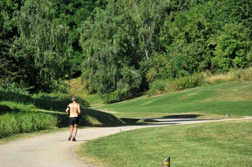 20180702 - La Courneuve - Parc - BDEF - © Gil Fornet (57)