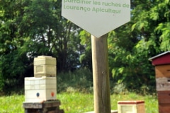 ECT fier d'être parrain des ruches de Lourenço Apiculteur