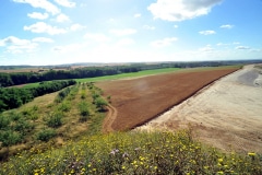 OVERVIEW OF THE SITE AND THE ORCHARD