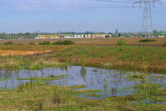 Création de 3, 3 ha  d'aménagement  écologique de prairies et de zones humides