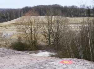 Landfill or made-ground in the quarry 