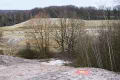 Landfill or made-ground in the quarry 