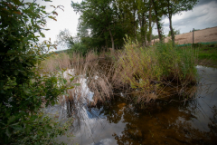 Le projet prévoit de nombreuses mesures pour préserver les milieux écologiques