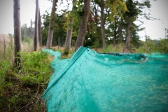 Mise en place de barrière de protection pour préserver les amphibiens Mise en place de barrière de protection pour préserver les amphibiens