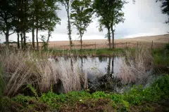 Respecter la biodiversité est l\'un des enjeux du projet