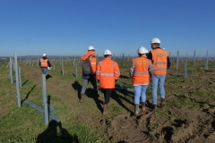 ECT site visit to the Akuo solar park 