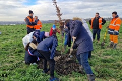 Accompagnement technique : les Pépinières Naudet supervisent la plantation, garantissant la qualité écologique et paysagère du site.