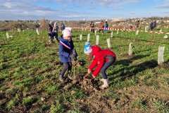Une matinée de novembre réussie : petits et grands unis pour contribuer à la création d’un nouvel espace naturel et de loisirs à Chelles