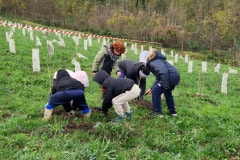 Travail collectif et convivial : tous ensemble pour donner vie aux plantations du futur parc Jacques Chirac.