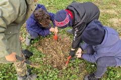 Un parc qui prend vie : chaque plantation contribue à créer un nouvel espace naturel et de loisirs, intégré au cadre de vie des habitants de Chelles.