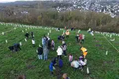 Les plantations vues du ciel : le regard aérien de la Safer Île-de-France