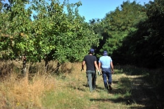 Le verger du site d'ECT à Villeneuve est composé de plus de 290 arbres fruitiers