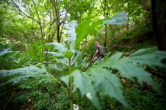 Le respect de l'environnement et la préservation de la biodiversité