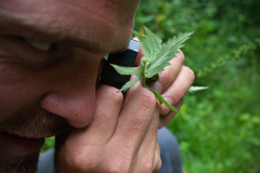 Dans la protection de l'environnement et de la biodiversité