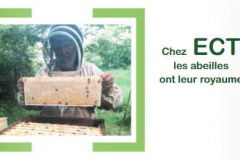 Août 2021 - Chez ECT les abeilles ont leur royaume