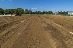 Soil ready to receive compost made from plant/vegetable waste.