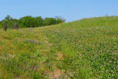 L' économie circulaire des terres excavées au coeur de la tranformation de ce foncier délaissé