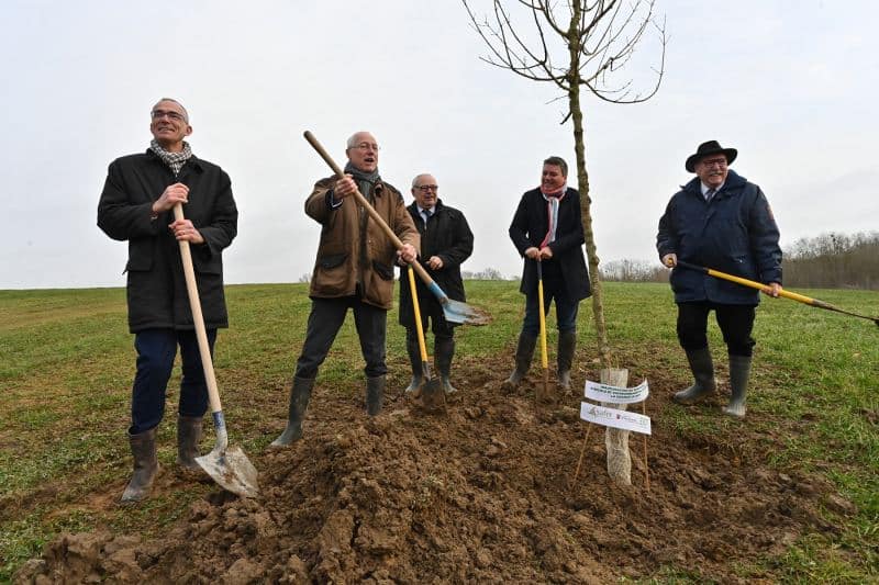 Plantation d'un arbre en symbole de la restauration agicole et écologique