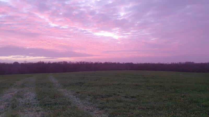 Le site de Grisy-Suisnes, aux couleurs de l'aurore