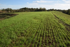 Novembre | Grisy-Suisnes, redonner une vitalité agricole aux terres