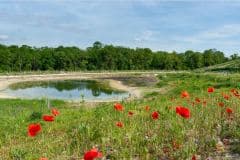 Juillet |A Clichy-sous-Bois, balade au parc de la Fosse Maussoin