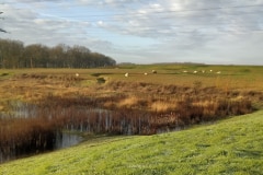 Janvier | Roissy-en-Brie, aménagements écologiques reconnus "Oasis Nature" par l'Association Humanité et Biodiversité