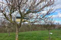 Avril | Installation des nichoirs par la LPO sur le site ECT de Villeneuve-sous-Dammartin