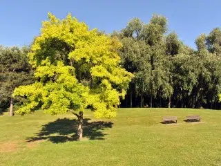 Parc Georges Valbon  - La Courneuve