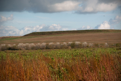 D401 Route du Mesnil-Amelot