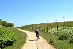 Cycliste sur un chemin aménagé sur la butte de Combs-la-Ville (77)